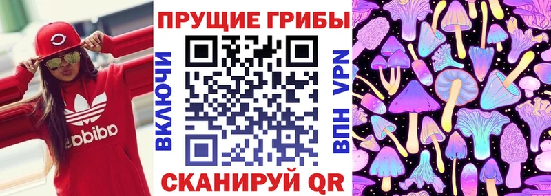 продажа наркотиков  Нижняя Салда  Псилоцибиновые грибы Psilocybe 